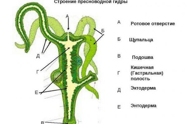 Darknet ссылки