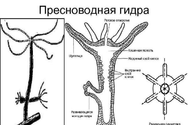 Кракен даркнет ссылка зеркало