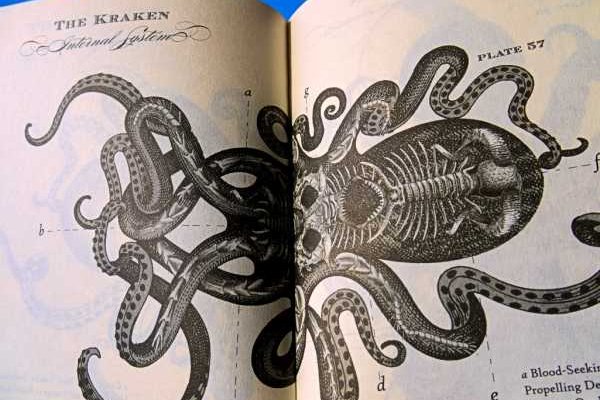 Кракен зеркало 2